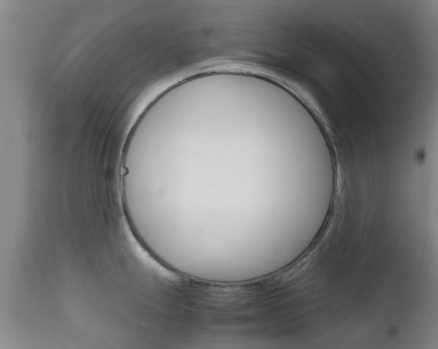 X0000111901247200907271002