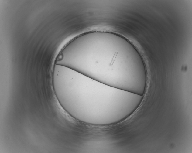 X0000111901248200907271002