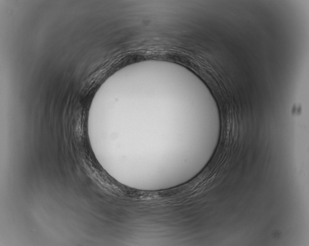 X0000111901250200907271002