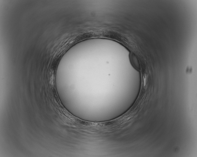 X0000111901251200907271002