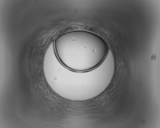 X0000111901253200907271002