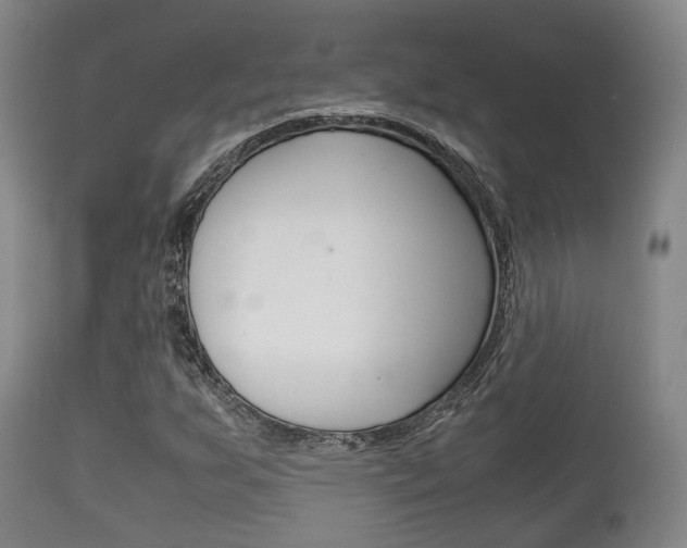 X0000111901255200907271002