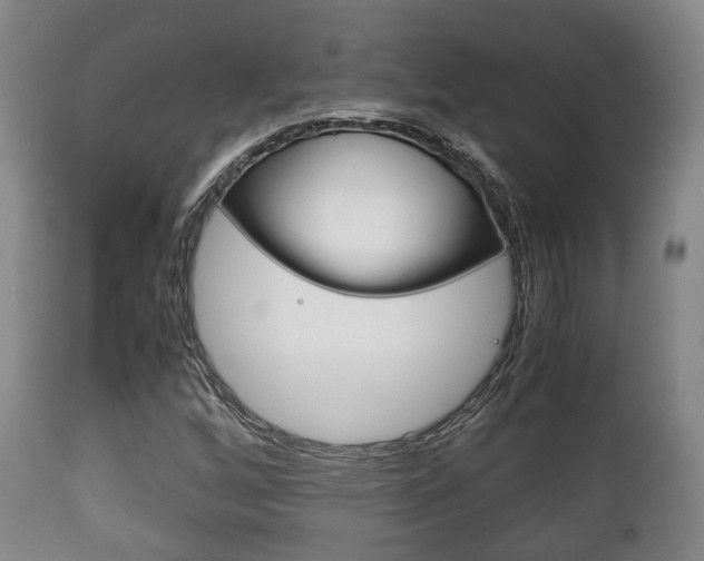 X0000111901256200907271002