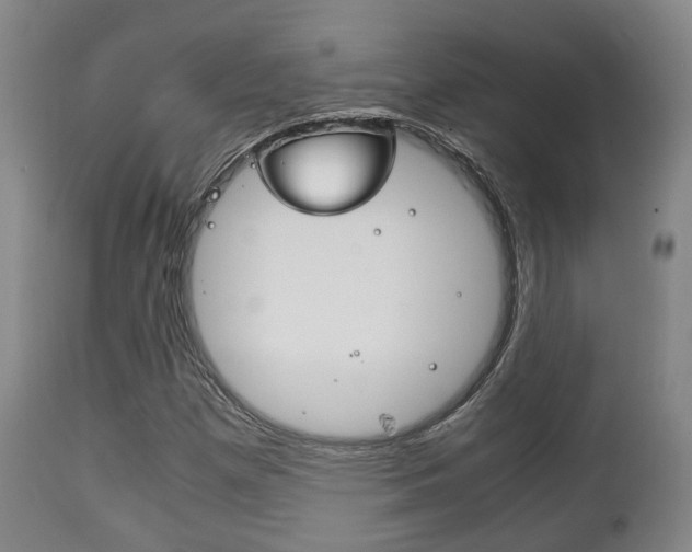 X0000111901257200907271002