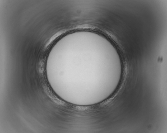 X0000111901258200907271002