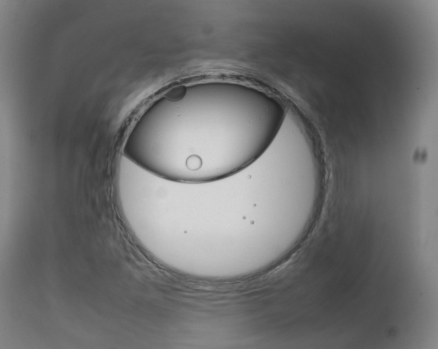 X0000111901261200907271001
