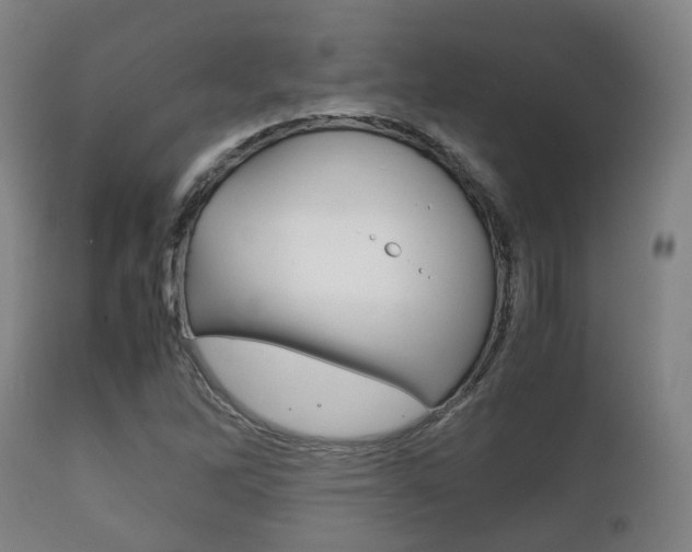 X0000111901262200907271001