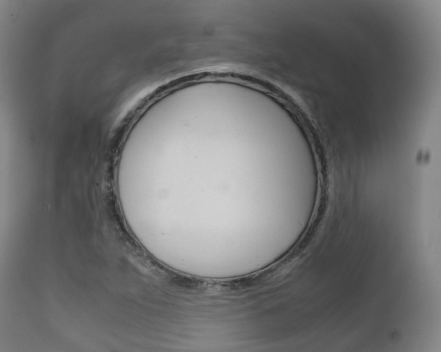 X0000111901263200907271001