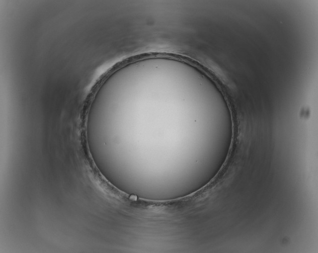 X0000111901264200907271001