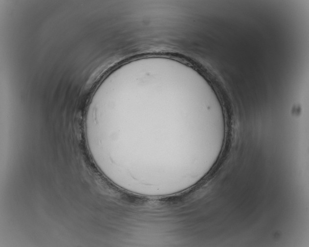 X0000111901265200907271001
