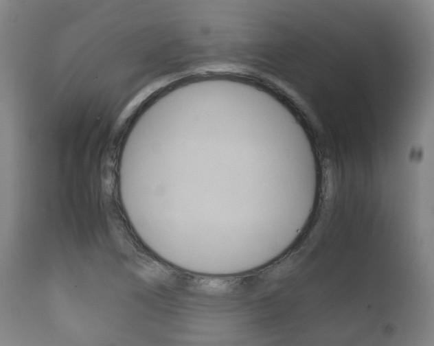 X0000111901266200907271001