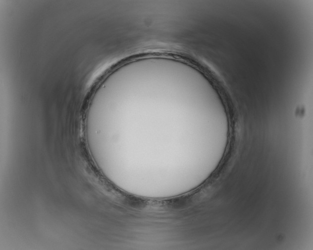 X0000111901267200907271001