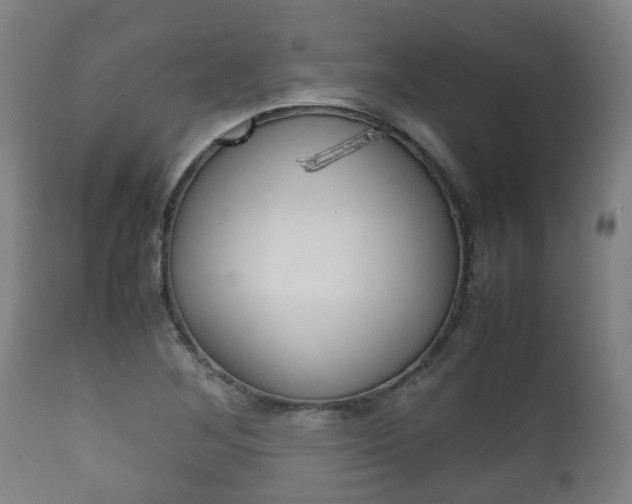 X0000111901268200907271001