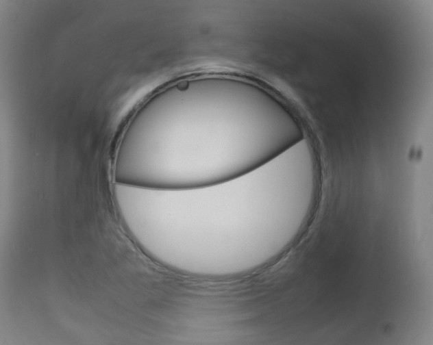 X0000111901269200907271001