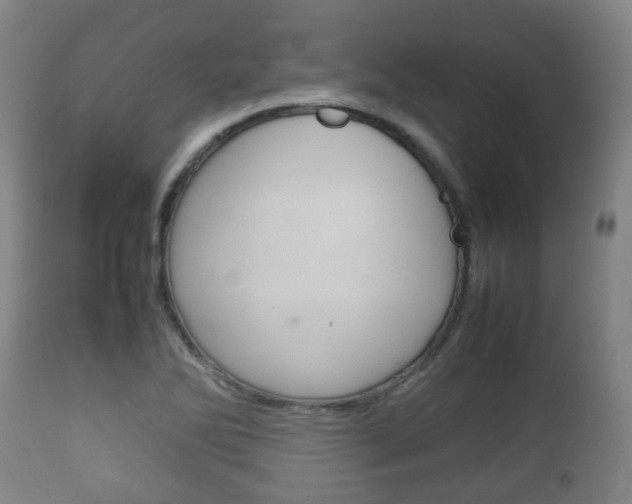 X0000111901270200907271001