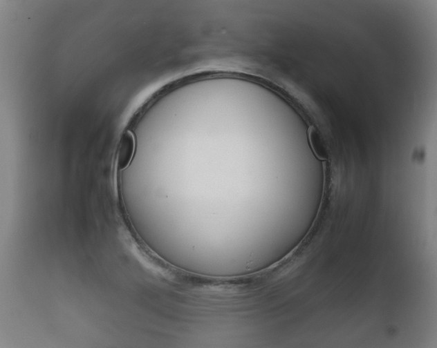 X0000111901272200907271001