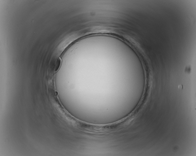 X0000111901273200907271001