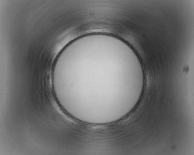 X0000111901274200907271001