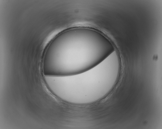 X0000111901277200907271001