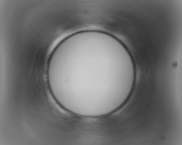 X0000111901278200907271001