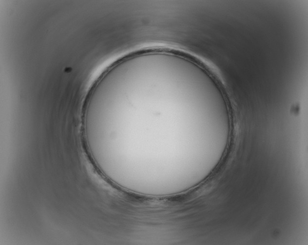X0000111901279200907271001