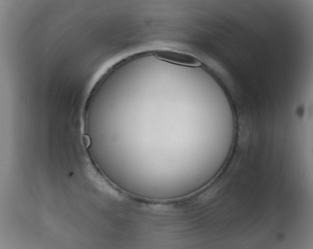 X0000111901280200907271001