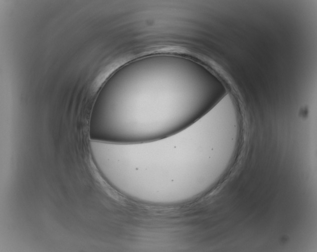 X0000111901281200907271001