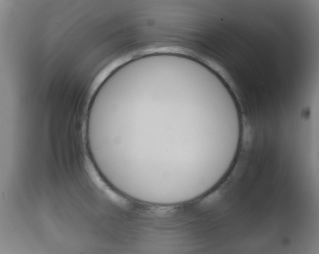 X0000111901282200907271001