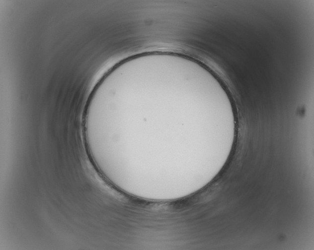 X0000111901283200907271001