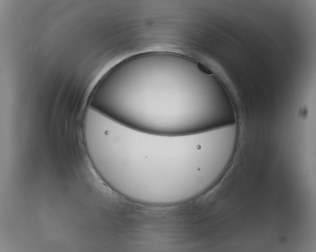 X0000111901284200907271001