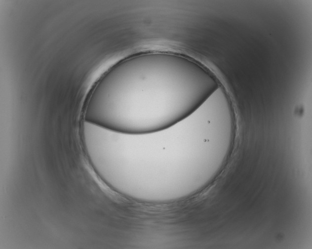 X0000111901285200907271001