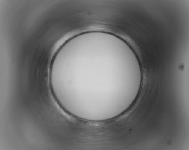X0000111901286200907271001