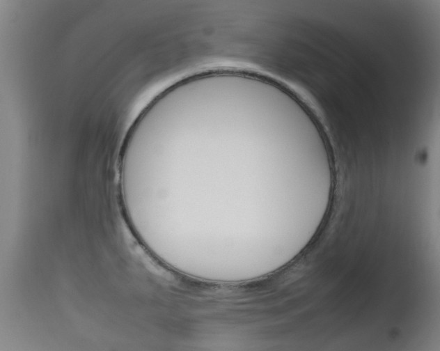 X0000111901287200907271001