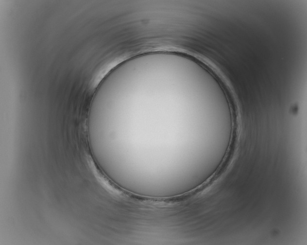 X0000111901289200907271001
