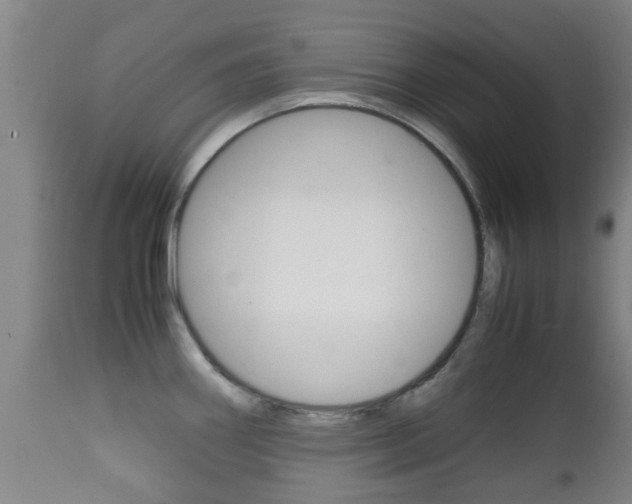 X0000111901290200907271001