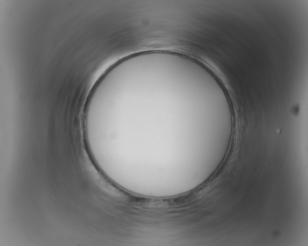 X0000111901291200907271001