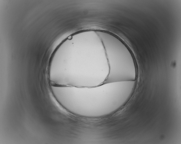 X0000111901293200907271001