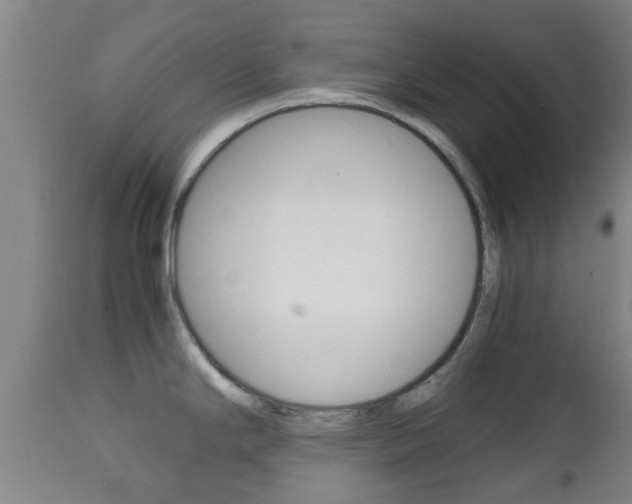X0000111901294200907271001