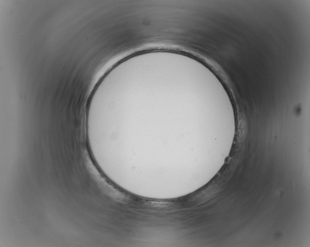 X0000111901295200907271001