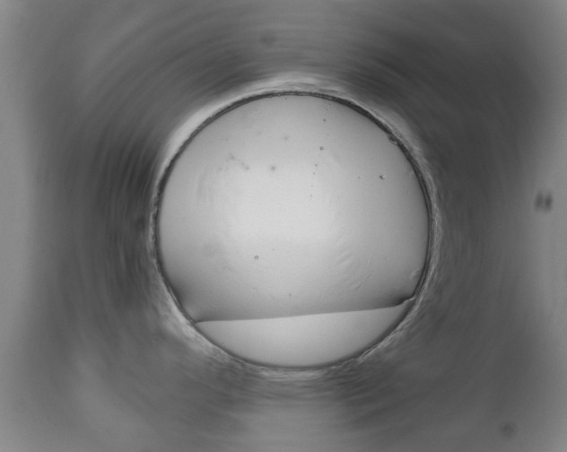 X0000111901296200907271001