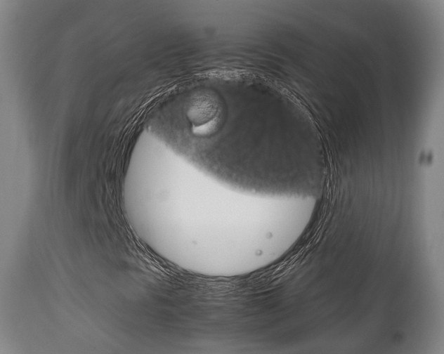 X0000111901297200907271000