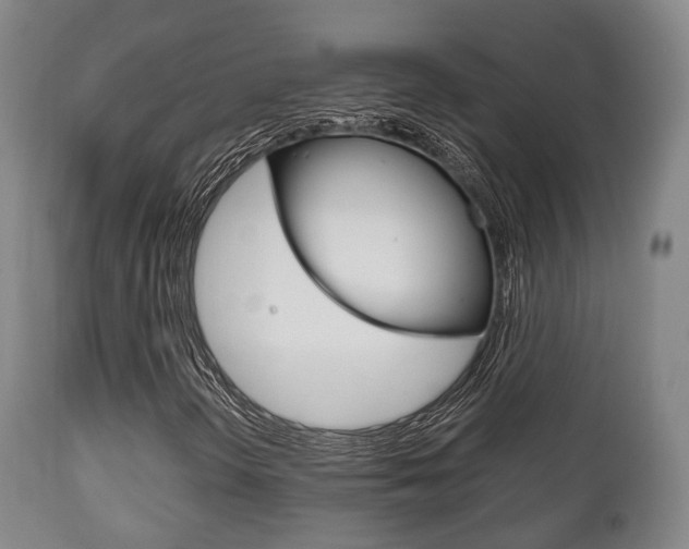 X0000111901298200907271000