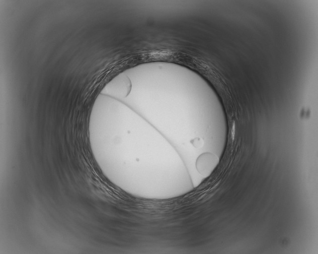 X0000111901299200907271000