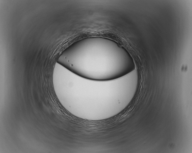 X0000111901300200907271000