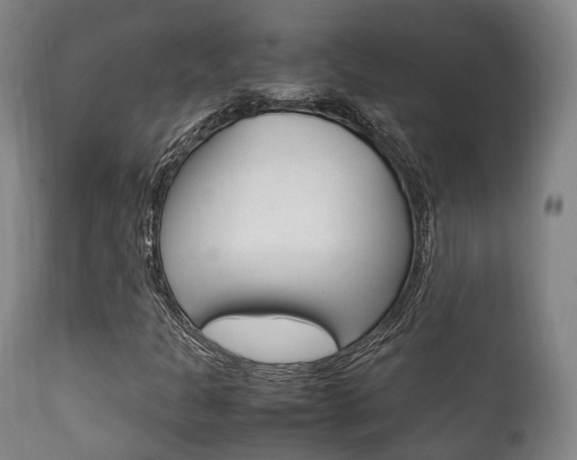 X0000111901301200907271000