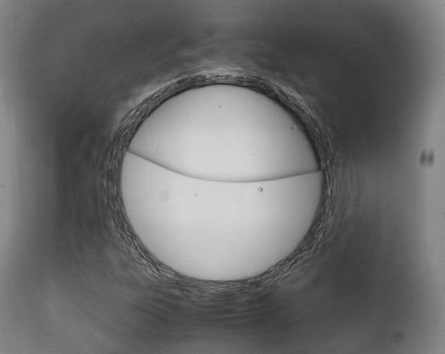 X0000111901303200907271000
