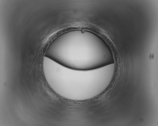 X0000111901304200907271000
