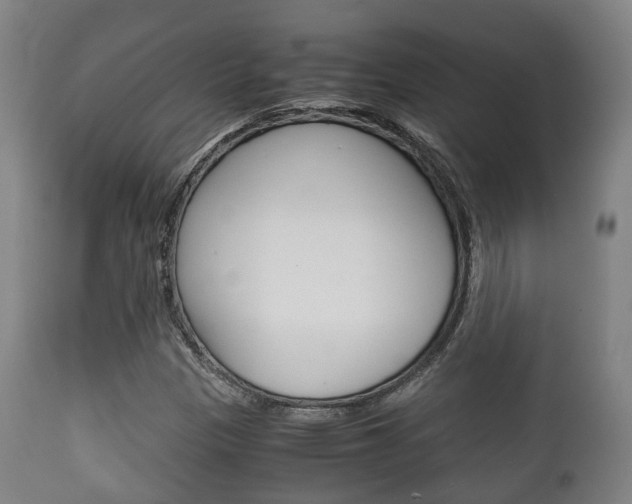 X0000111901305200907271000