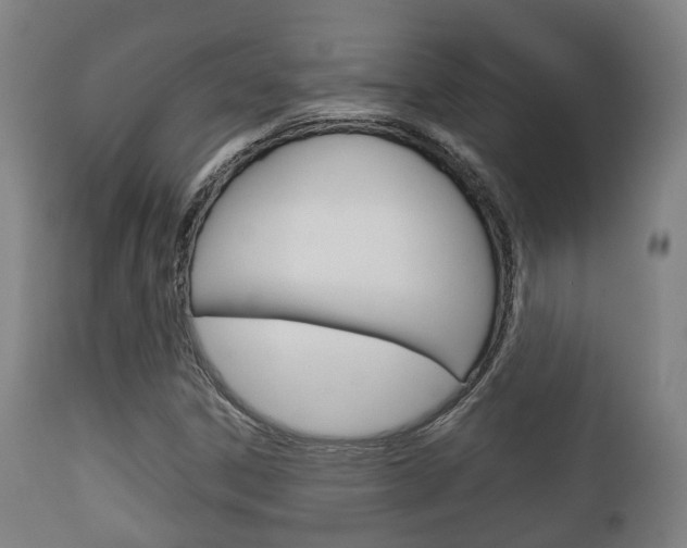 X0000111901306200907271000