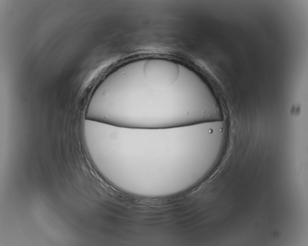 X0000111901307200907271000